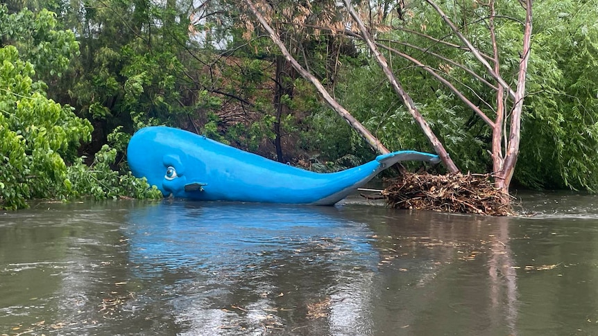 Blue whale sculpture sits on river bank of River Torrens