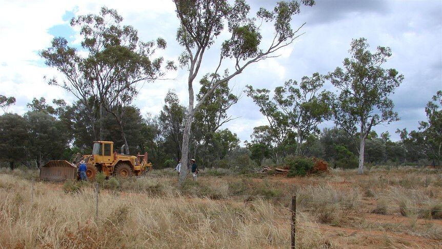 Graziers have been asking for more flexibility in managing native vegetation.