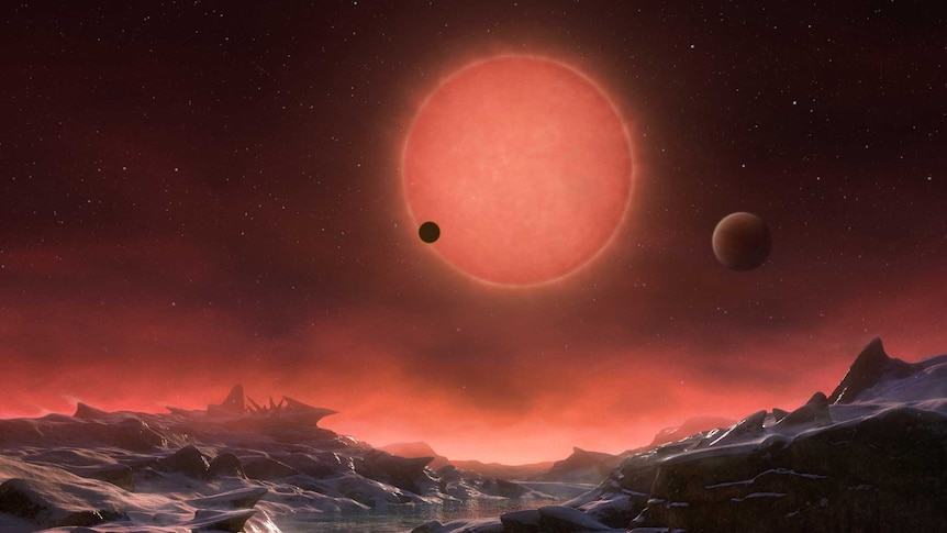 Artist's impression of life on planet near ultracool dwarf star