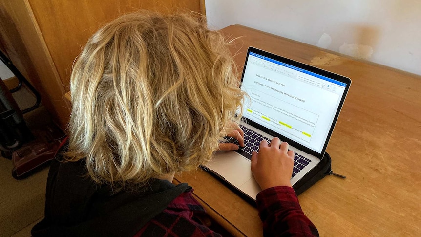 A young student sits in front of a laptop with learning material on the screen.