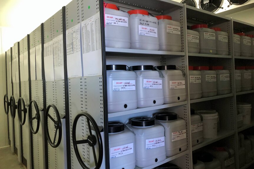A number of large plastic containers sit on storage shelves.