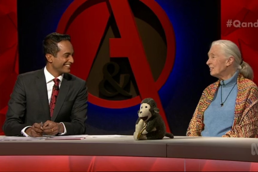 A man sits next to a woman with a toy monkey in front of them.