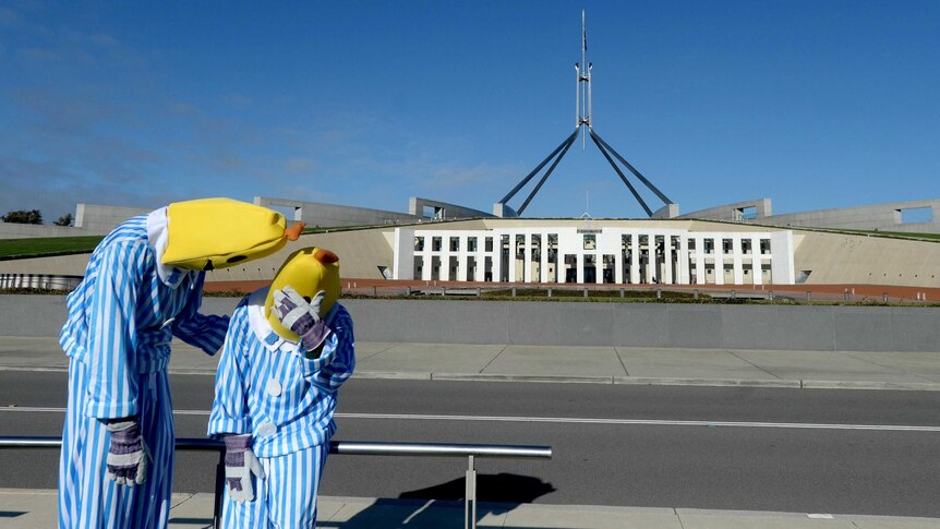 Protesters dressed as the ABC's Bananas in Pyjamas stand outside Parliament House