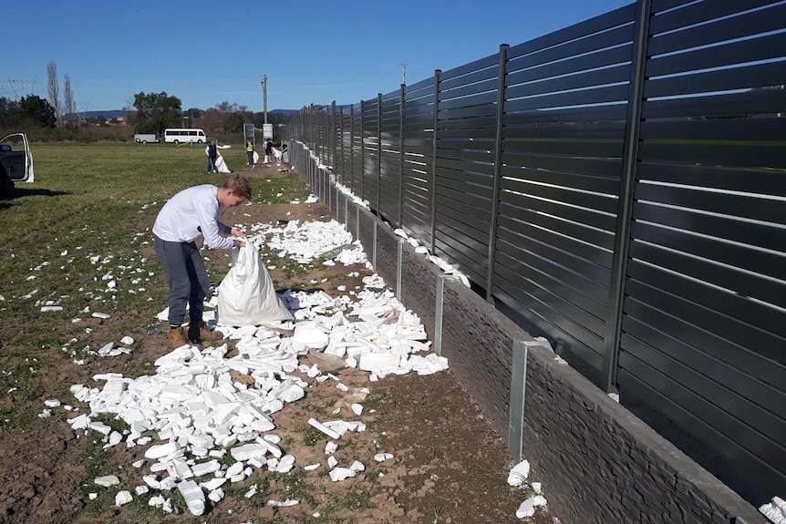 A person holding a bag bending over picking up polystyrene pollution.