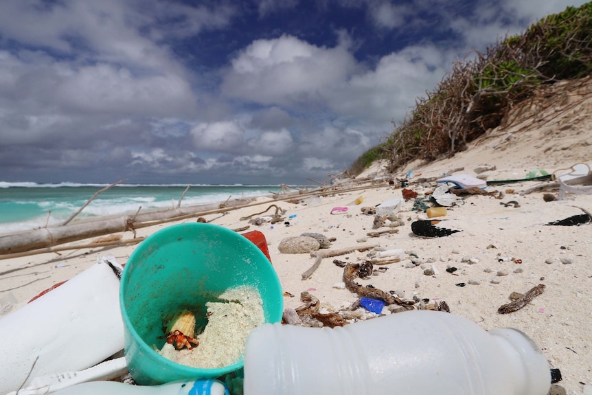 Plastic on a beach.