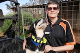 Darkan sheep farmer Karyn Buller stands next to her kelpie Rosie who is perched on the back of a vehicle.