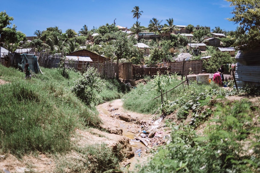 African village with huts, woven screens, palm trees and a polluted creek.