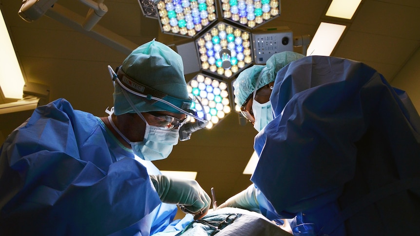 Two surgeons wearing protective clothing undertake an operation.