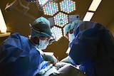 Two surgeons wearing protective clothing undertake an operation.