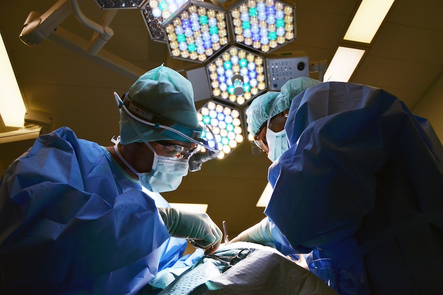 Two surgeons wearing protective clothing undertake an operation.