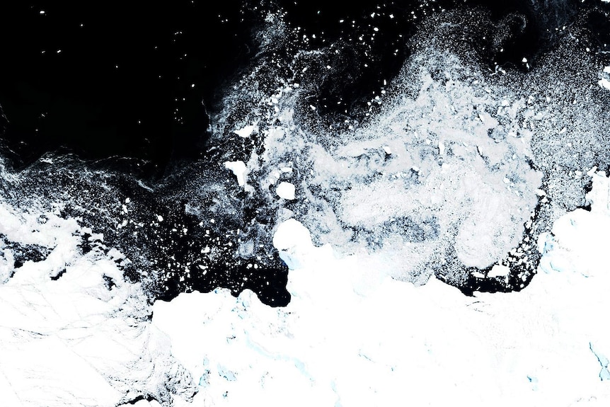 A satellite image shows sea ice in the water off the Antarctic Peninsula.