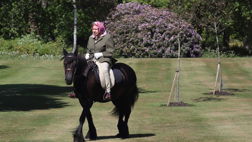 Elderly woman wearing pink headscarf, green jacket and beige pants rides a dark brown pony in parkland
