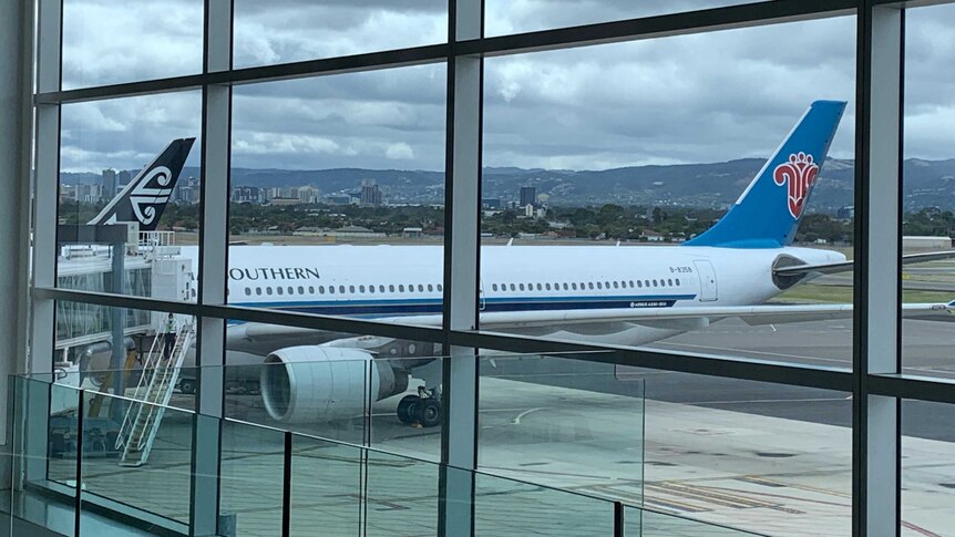 A large aeroplane outside a window at an airport