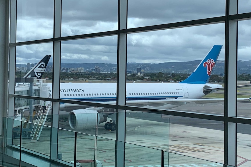 A large aeroplane outside a window at an airport