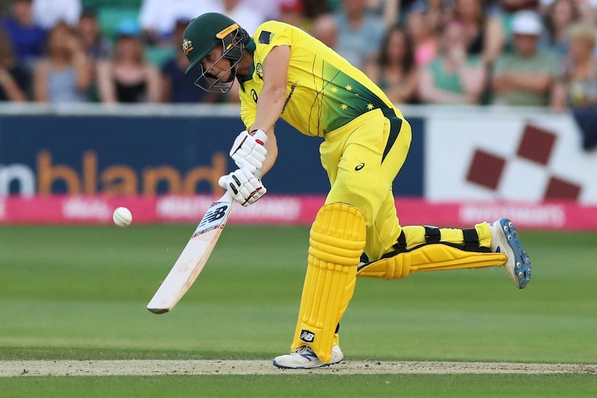 A cricketer opens the full face of the bat trying to hit the ball a mile during a T20 international.