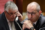 Composite image showing Senator Patrick on the left on the phone and Mr Pezzullo on the right resting his head in his hands