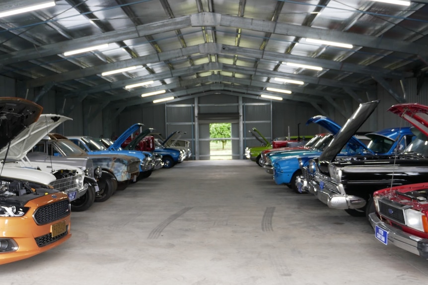 Photo of shed with rows of cars on either side, some of them with their bonnets open.