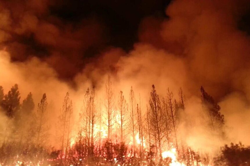 Fire rages through Yosemite National Park