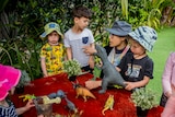 A group of young kids at a childcare centre standing around a table with toy dinosaurs 