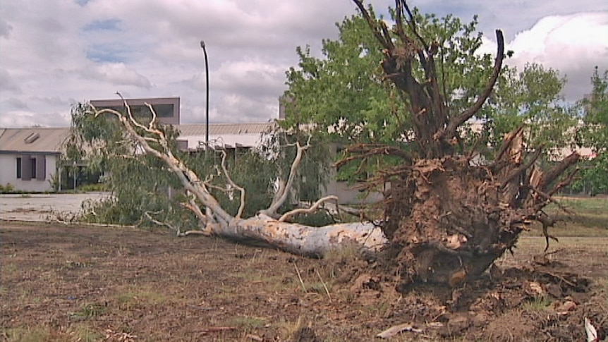 Storm damage