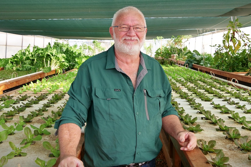 Older man wearing green shirt smiles at camera while standing in a greenhouse