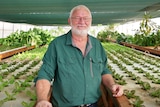 Older man wearing green shirt smiles at camera while standing in a greenhouse