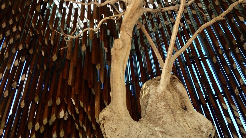 Tree of Knowledge at Barcaldine in central-west Qld in April 2013