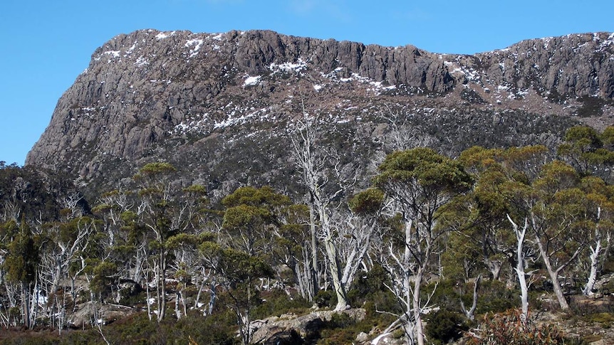 Herod's Gate at Tasmania's Walls of Jerusalem