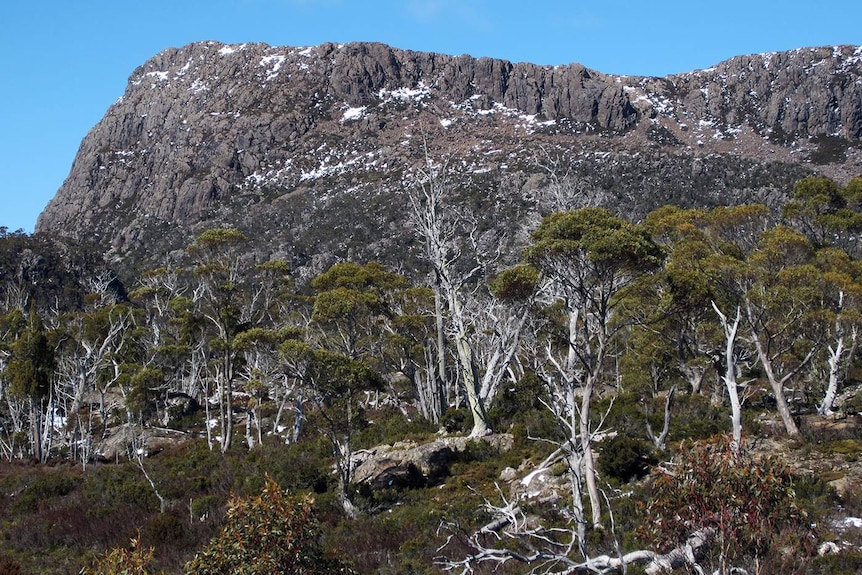 Herod's Gate at Tasmania's Walls of Jerusalem