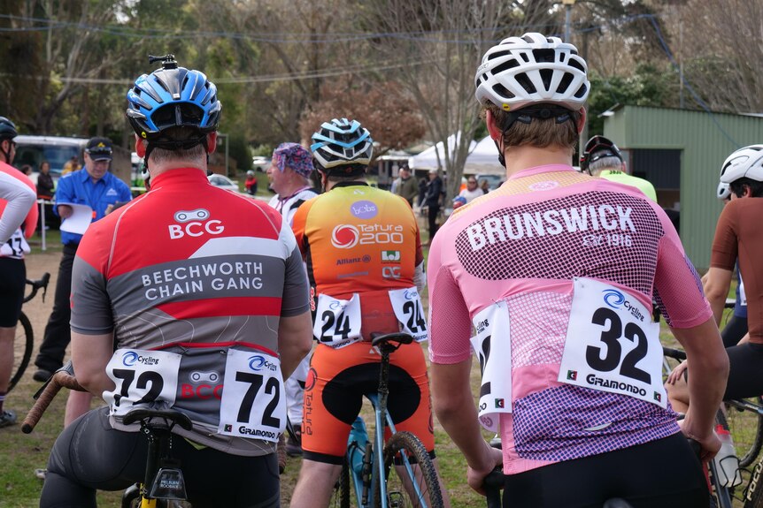 A shot of the backs of riders about to race.  They are wearing a range of jerseys from Beechworth, Tatura and Brunswick.