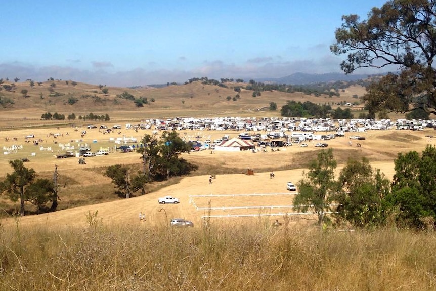 A wide shot of a paddock with horses seen in the distance.
