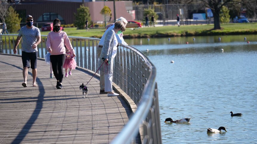 A couple look at ducks in a lake as another couple wearing masks walks behind them.
