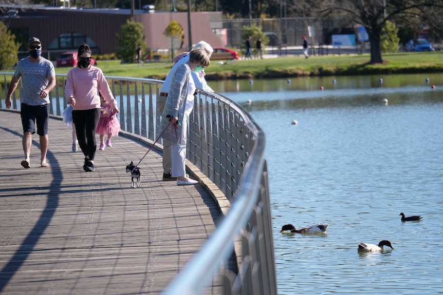 A couple look at ducks in a lake as another couple wearing masks walks behind them.