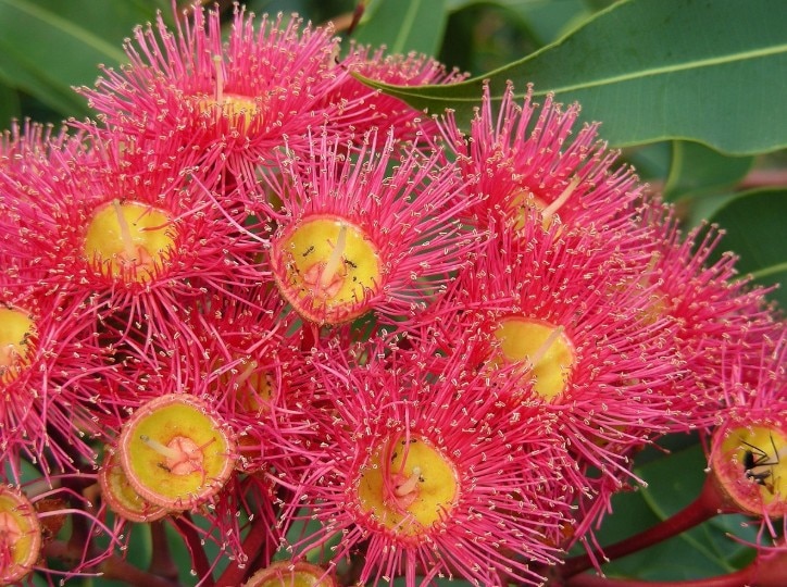 Why park rangers matter