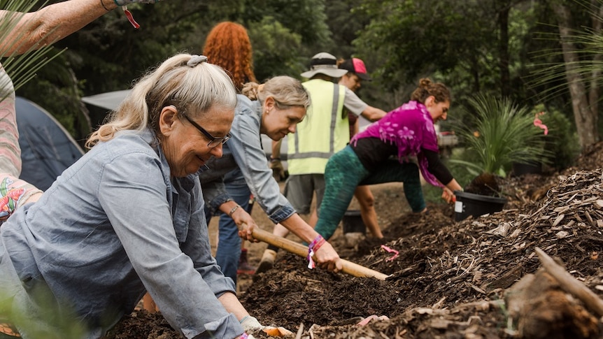 people planting trees