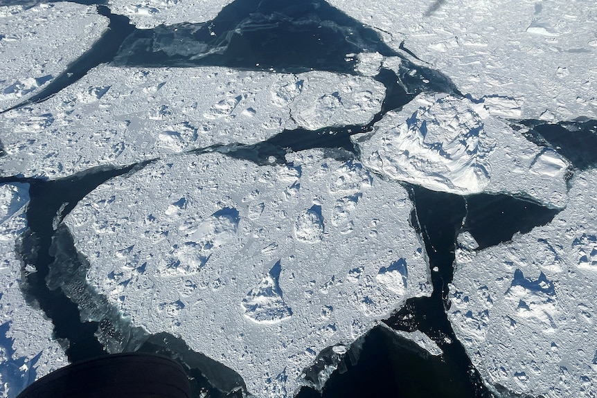 Aerial photo of sheets of ice cracked and floating on water 