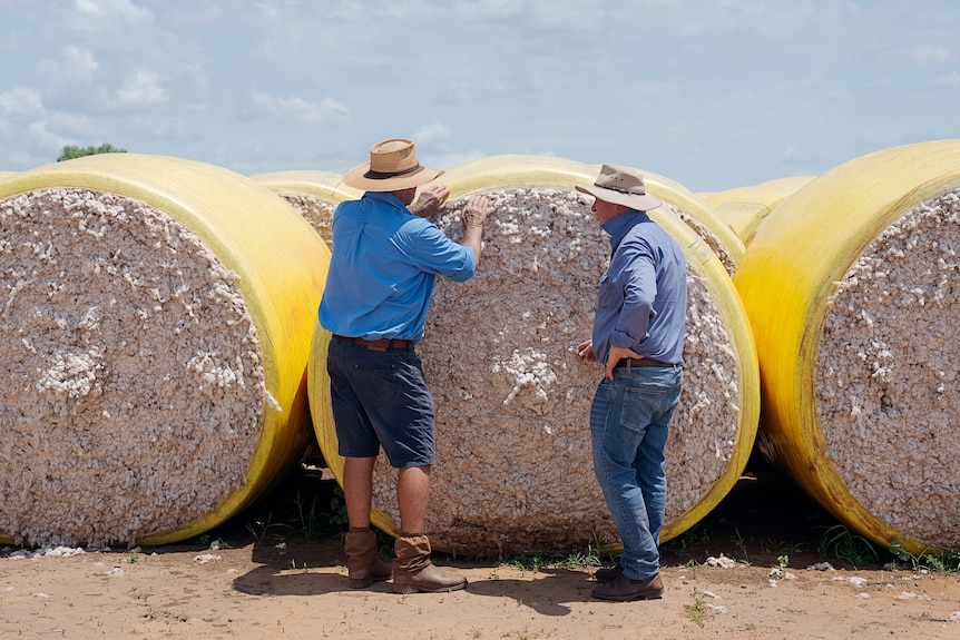Two men looking at a giant cotton bale.