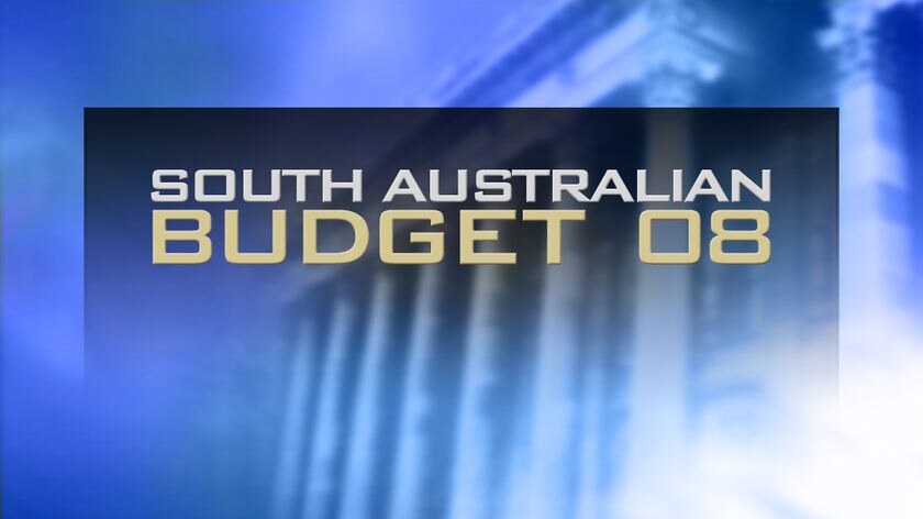 SA Budget 2008