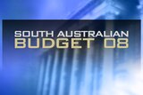SA Budget 2008