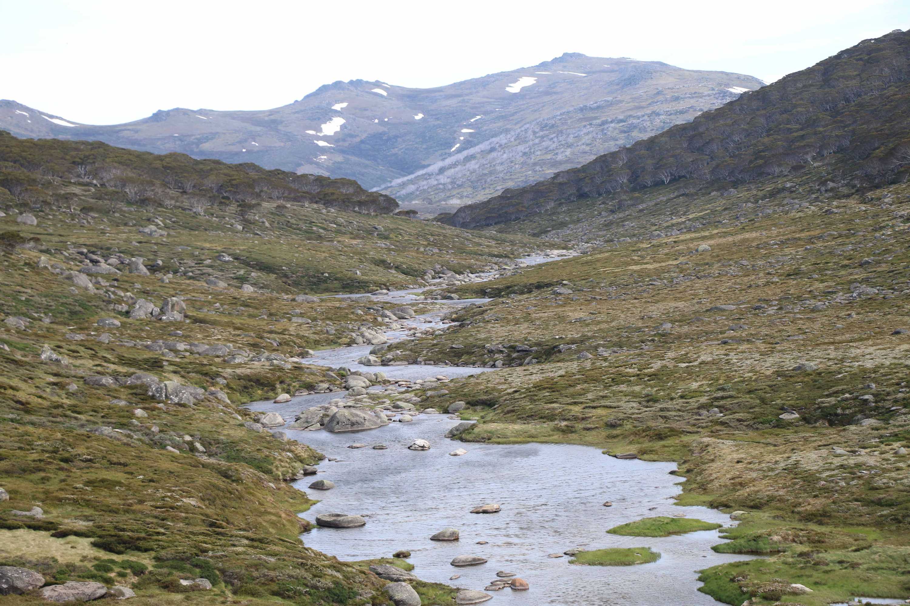 Пик косцюшко. Пик косцюшко. Косцюшко заповедник. Национальный парк костюшко. Река косцюшко.