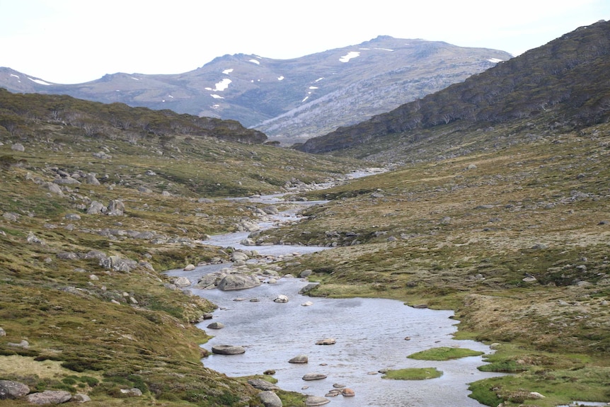 Kosciuszko National Park