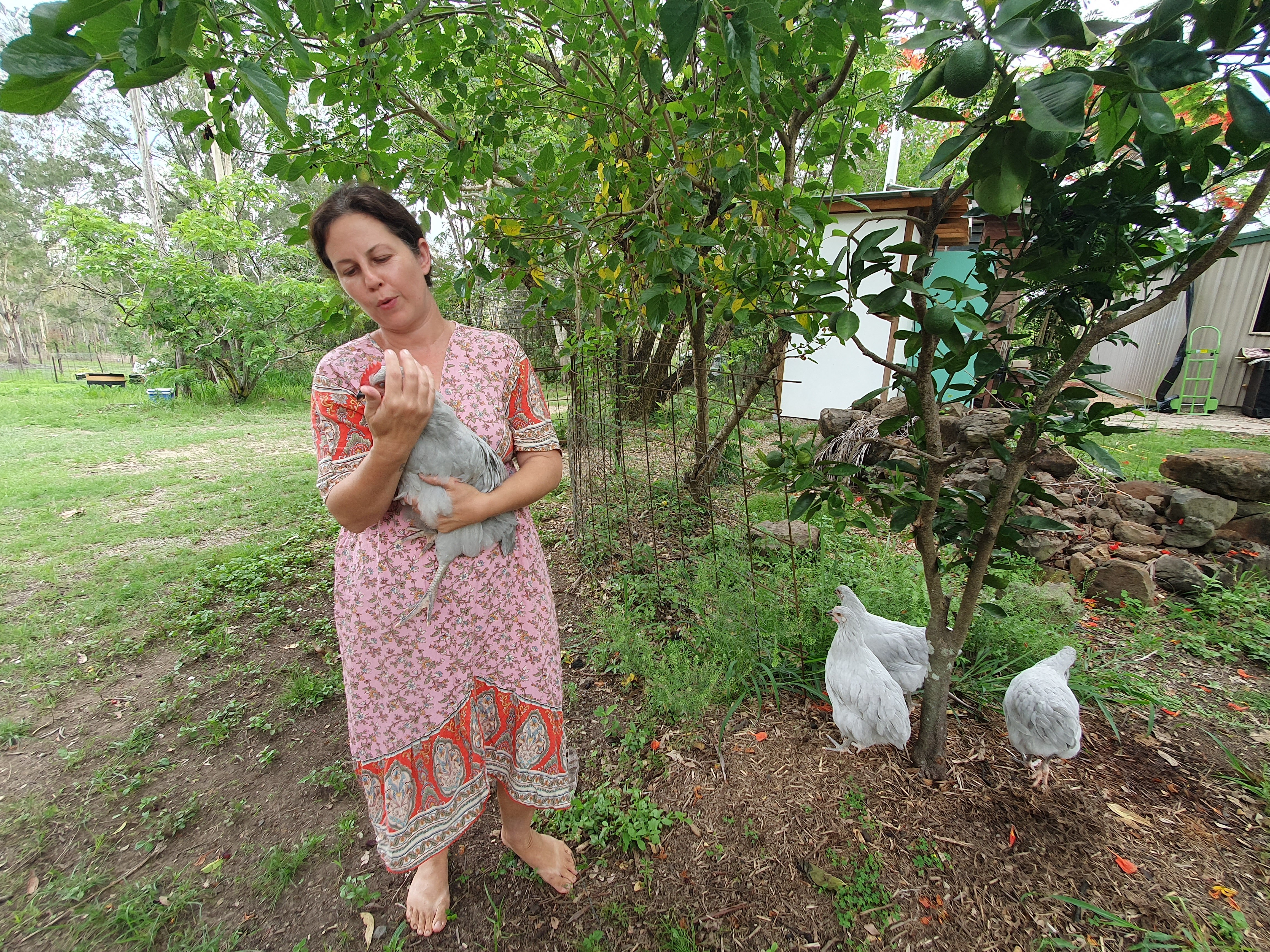 Lady holding a chicken