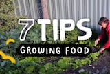 Woman gardening vegetables in backyard with title: 7 tips growing food