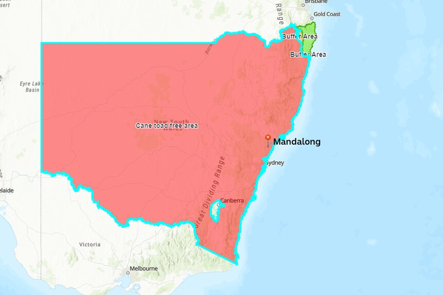Zoomed-in map of Australia highlighting NSW as being cane toad free. A marker near Newcastle indicates Mandalong