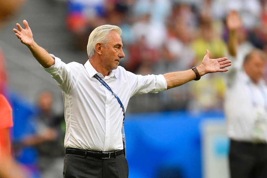 Socceroos coach Bert van Marwijk waves his arms around