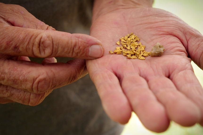Gold flecks being held in the palm of a hand