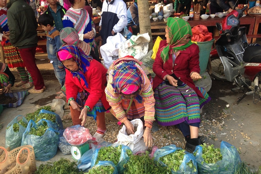 Three women selling herbs at the bustling Bac Ha markets in north western Vietnam
