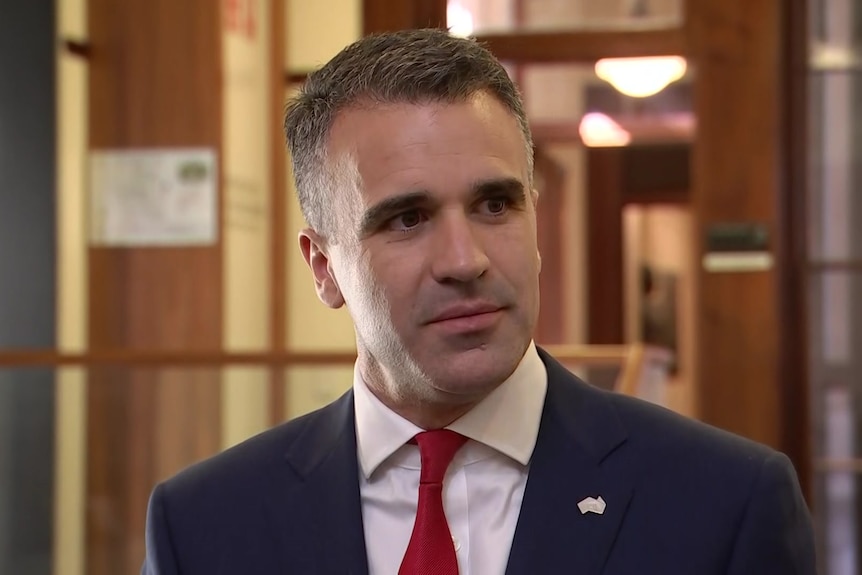 SA Opposition Leader Peter Malinauskas