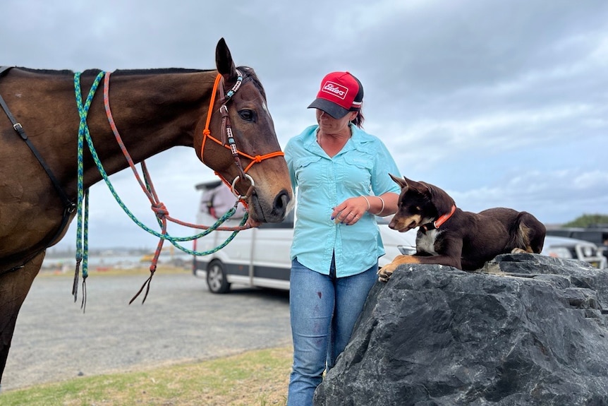 Woman in blue top and jeans stands in centre looking at a brown horse on her left, brown dog sat atop a rock on her right.