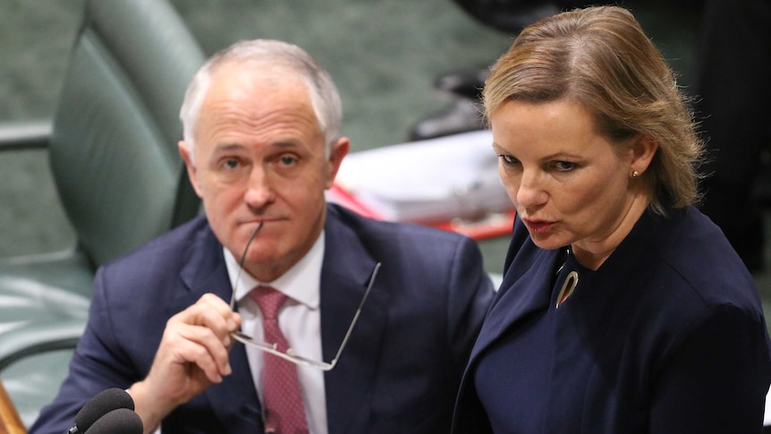 Malcolm Turnbull looks on as Sussan Ley stands to address Parliament.